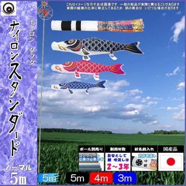 ̂ڂ  101836 m[}Zbg iCX^_[h 5m3C ė 265057389