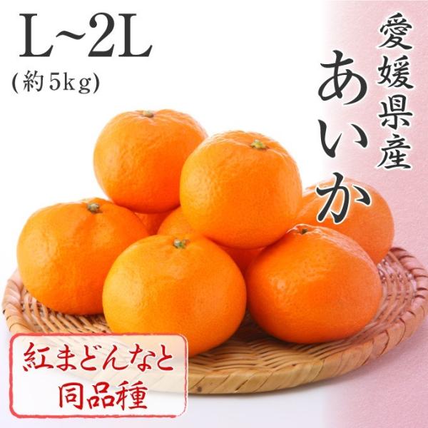 2025  Ε Mtg L`2LTCY 5kg g܂ǂȂƓi QY t[c v[g ݂ ~J 12{菇 