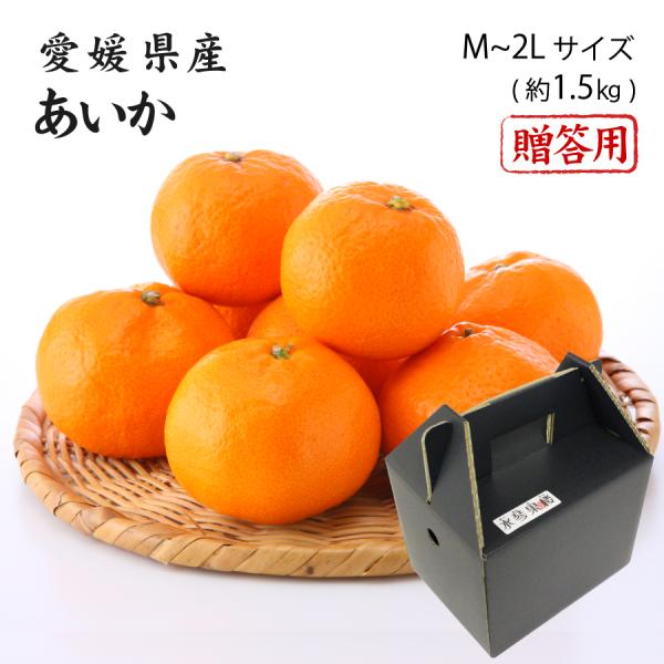 2025 あいか お歳暮 ギフト M~2Lサイズ 約1.5kg 紅まどんなと同品種