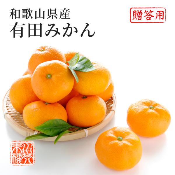 2025 Ε Mtg Lc݂ B݂ Gi 2L`3LTCY 9kg a̎RY p ݂ ~J t[c 11{菇