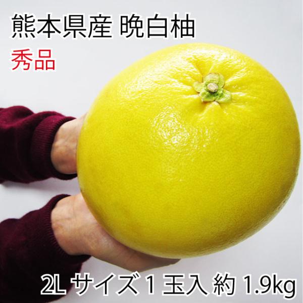 suikinkarou_banpeiyu005 suikinkarou_banpeiyu005
