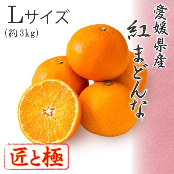 2025 Ε Mtg g܂ǂ LTCY 3kg ԏG Ƌ Q Y t[c v[g ݂ ~J 12{菇 