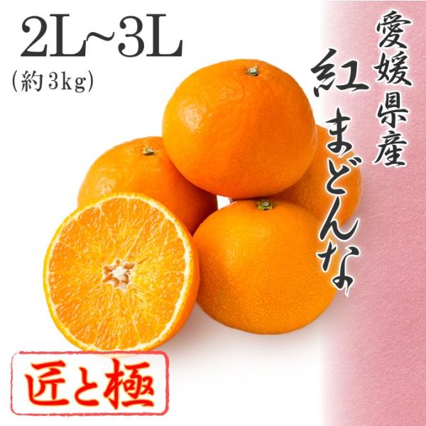 2025 Ε Mtg g܂ǂ 2L`3LTCY 3kg ԏG Ƌ Q Y t[c v[g ݂ ~J 12{菇 