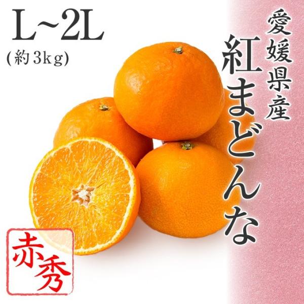 2025 Ε Mtg g܂ǂ L`2LTCY 3kg ԏGi Q t[c v[g ݂ ~J 12{菇 