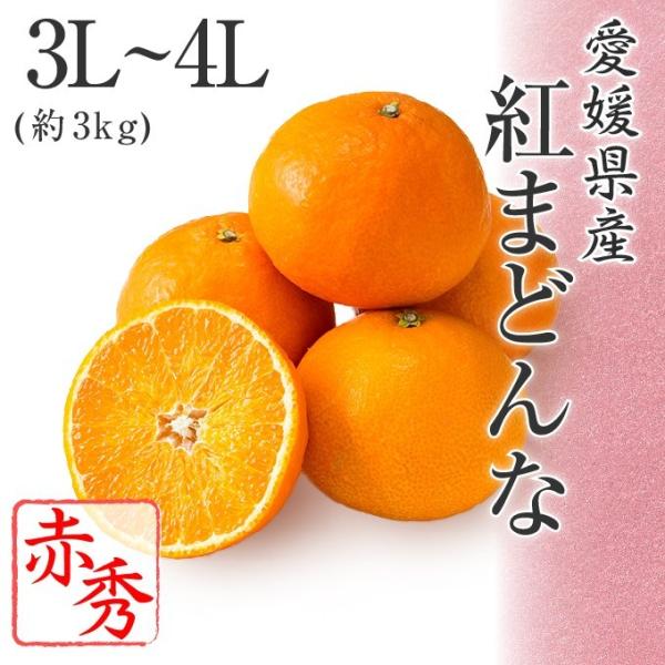 2025 Ε Mtg g܂ǂ 3L`4LTCY 3kg ԏGi Q t[c v[g ݂ ~J 12{菇 