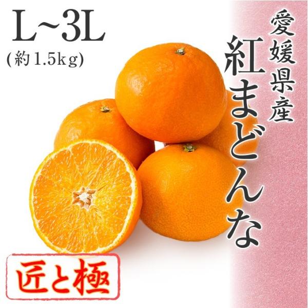 2025 Ε Mtg g܂ǂ L`3LTCY 1.5kg Ƌ Q Y t[c v[g ݂ ~J 12{菇 