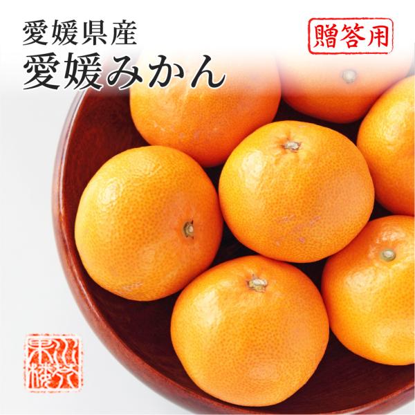 2025 Ε Mtg QY B݂ Gi S`LTCY 2.5kg p ݂ ~J t[c 11{菇