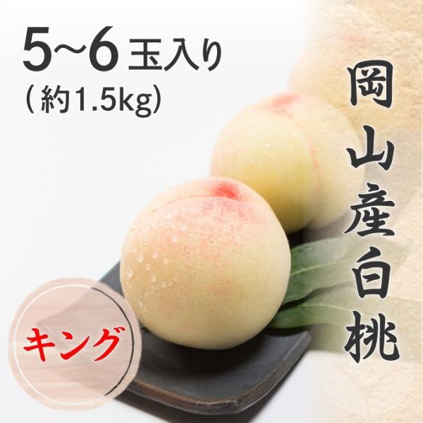 2026 ������ ���R�Y���� 5�`6�� ��1.5kg �L���O ���Z���T�[�I�� ���ϔ����� �� �t���[�c ���� �M�t�g �v���[���g 7����{����蔭��