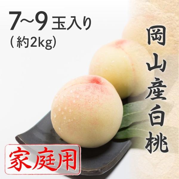 2026 ������ ���R�Y���� ��2kg �傫�����܂��� �ƒ�p �󂠂� �� �t���[�c ���� �M�t�g �v���[���g 7����{����蔭��