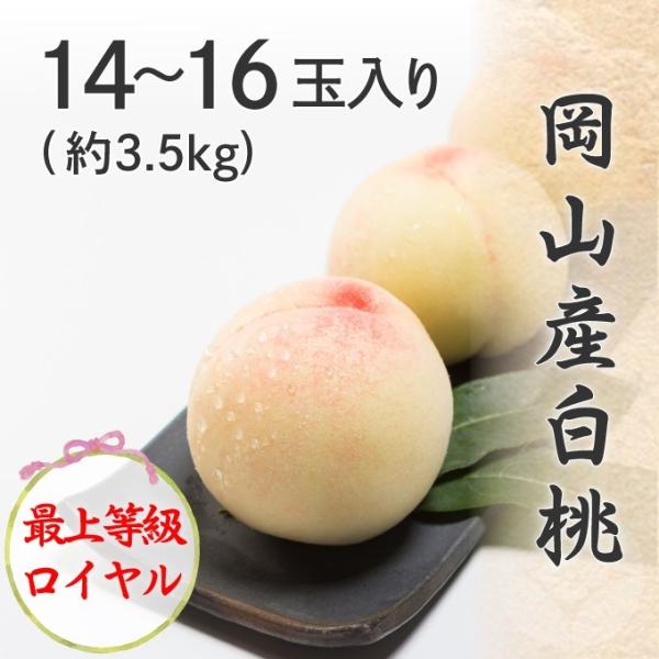 2026 ������ ���R�Y���� 14�`16�� ��3.5kg �ŏ㓙�� ���C���� ���Z���T�[�I�� ���ϔ����� �� �t���[�c ���� �M�t�g �v���[���g 7����{����蔭��