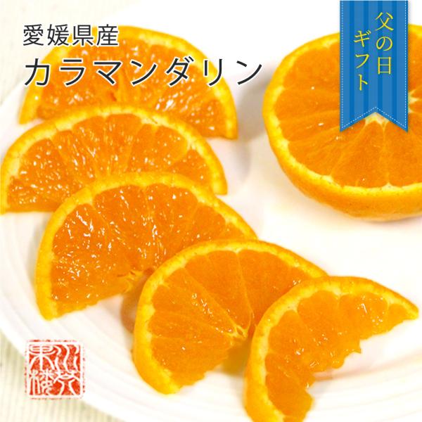 父の日 (6月15日〜6月21日にお届け) 2026 メッセージカード付 愛媛県産 カラマンダリン 秀品 L〜2Lサイズ 約5kg 愛媛 フルーツ みかん ミカン プレゼント