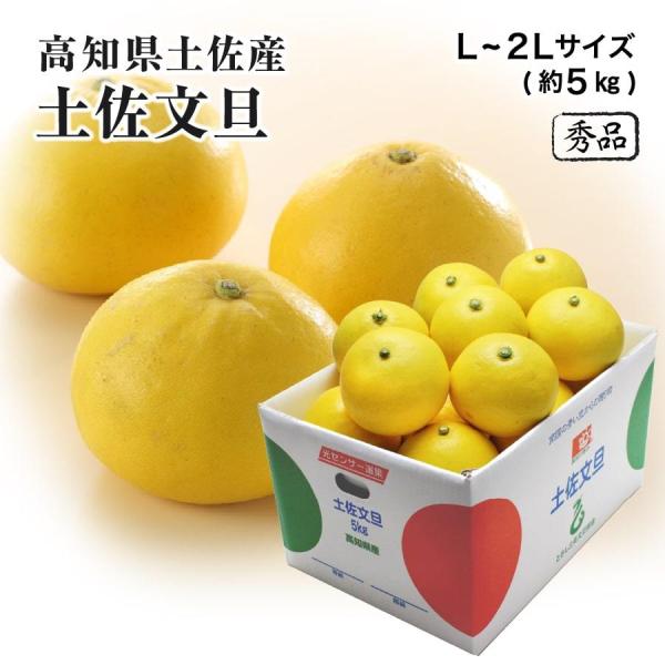 土佐文旦」の人気商品一覧 | 安い商品を通販サイトから探す - 価格.com