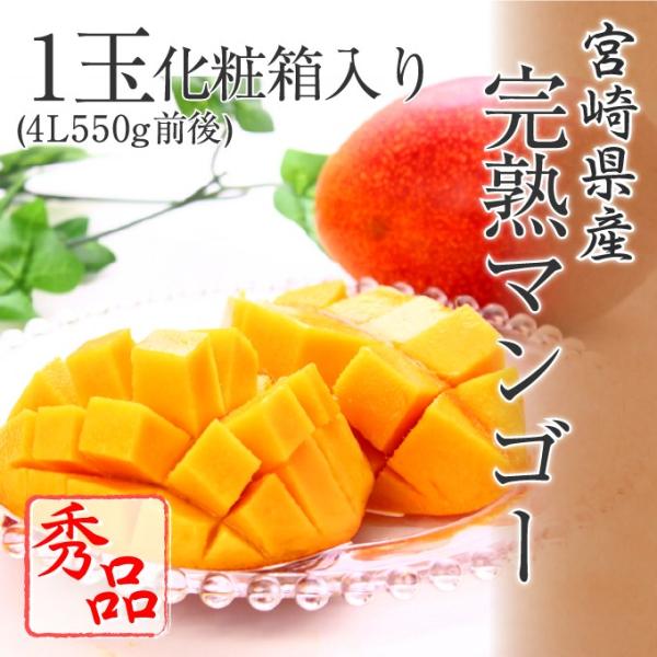 宮崎県産 完熟マンゴー 秀品 4L 1玉 550g前後 化粧箱入リ 宮崎マンゴー プレゼント ギフト 5月下旬頃より発送