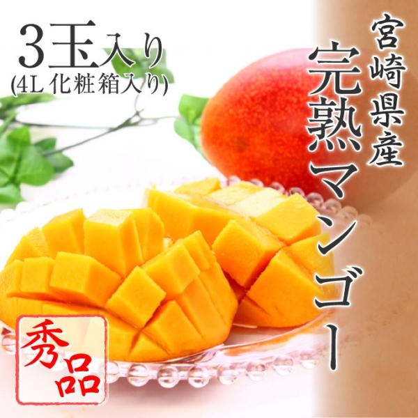 マンゴー 4l」の人気商品一覧 | 安い商品を通販サイトから探す - 価格.com
