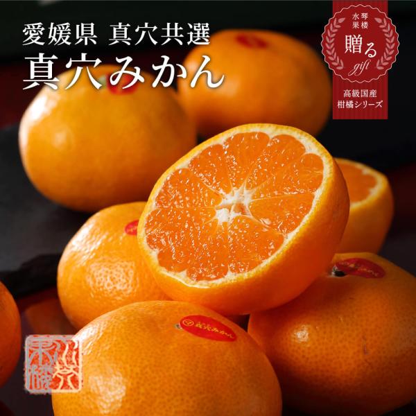 2024 御歳暮 真穴みかん 糖度12度以上 秀品 S〜Lサイズ 約5kg 2024 御歳暮 真穴みかん 糖度12度以上 秀品 S〜Lサイズ 約5kg