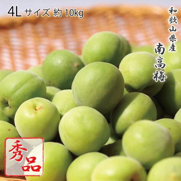 南高梅 10kg」の人気商品一覧 | 安い商品を通販サイトから探す - 価格.com