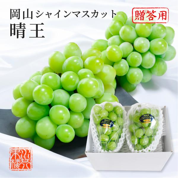 2025 VC}XJbg  Gi 500g×2[ ϔ RY Ԃǂ uhE  t[c Mtg v[g 9{蔭 