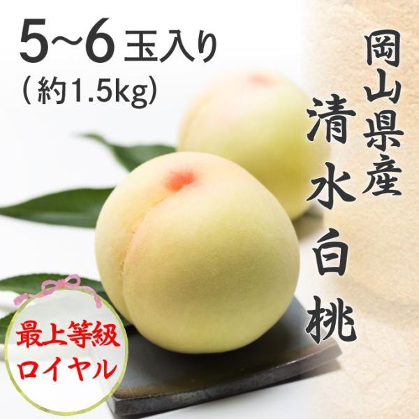 2026 お中元 岡山県産 清水白桃 5〜6玉 約1.5kg 最上等級 ロイヤル 光センサー選果 化粧箱入り 桃 フルーツ 白桃 ギフト プレゼント 7月下旬頃より発送