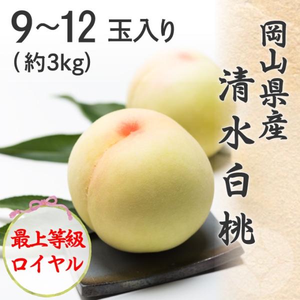 2026 ������ ���R���Y �������� ��� 9�`12�� ��3kg �ŏ㓙�� ���C���� ���Z���T�[�I�� ���ϔ����� �� �t���[�c ���� �M�t�g �v���[���g 7�����{����蔭��