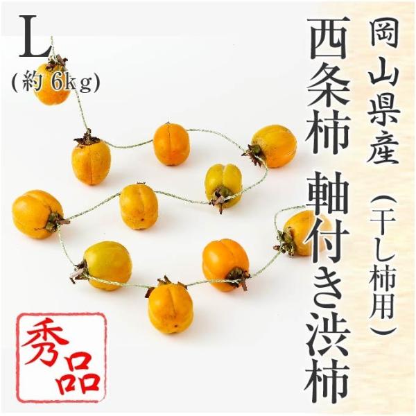 (10{蔭) RY ` ta` (`p) Gi LTCY 6kg  a` ` t[c ݂邵pЂEt 