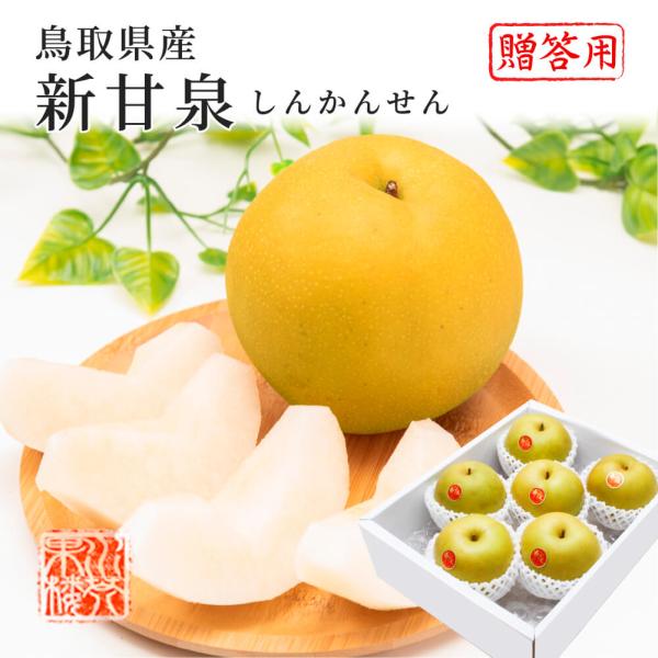 梨の産地鳥取から満を持して誕生したのが「新甘泉」平均糖度が13.5度で高い時には15度にもなる新甘泉は、平均糖度11.3度でさわやかな甘みを持つ二十世紀梨と比べると、その濃厚で強い甘さに驚きます。果汁の多さも特長の一つです。鳥取自慢のニュー...