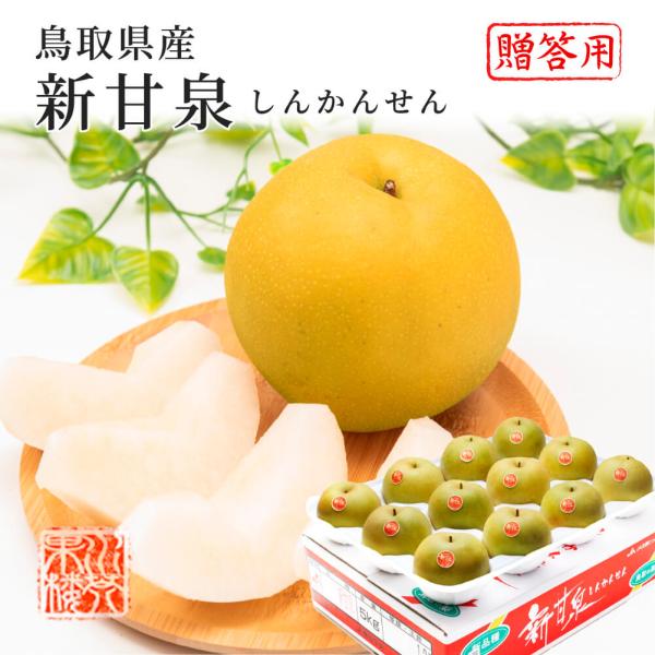 梨の産地鳥取から満を持して誕生したのが「新甘泉」平均糖度が13.5度で高い時には15度にもなる新甘泉は、平均糖度11.3度でさわやかな甘みを持つ二十世紀梨と比べると、その濃厚で強い甘さに驚きます。果汁の多さも特長の一つです。鳥取自慢のニュー...