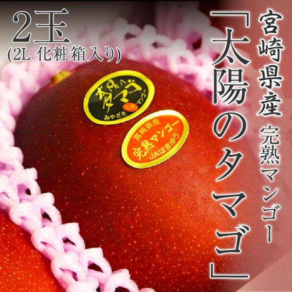 2026 太陽のタマゴ 宮崎県産 宮崎県産 太陽のタマゴ 完熟マンゴー 太陽のたまご 化粧箱入り 2L 2玉入り 贈り物 プレゼント ギフト 5月下旬頃より発送