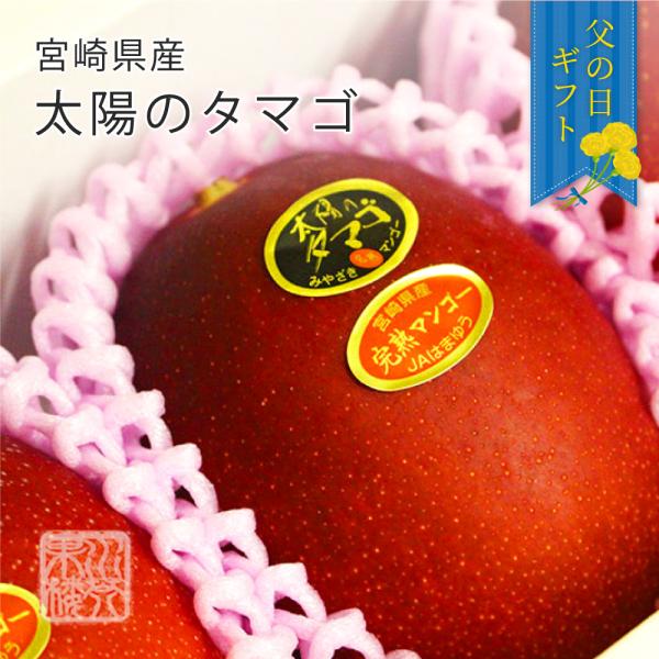 父の日 (6月15日〜6月21日にお届け) 2026 メッセージカード付 宮崎県産 太陽のタマゴ 完熟マンゴー 太陽のたまご 化粧箱入 2L 2玉入 贈り物 プレゼント ギフト
