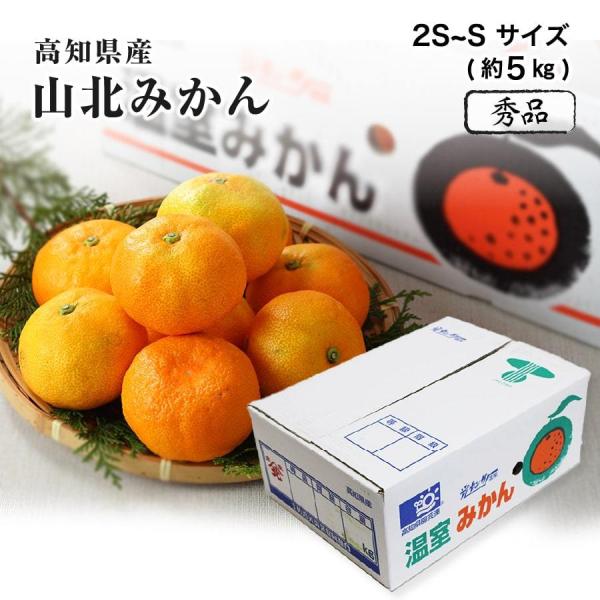 高知県産 山北温室みかん 温州みかん 秀品 2S〜Sサイズ 5kg みかん 夏 フルーツ 5月下旬ごろより発送