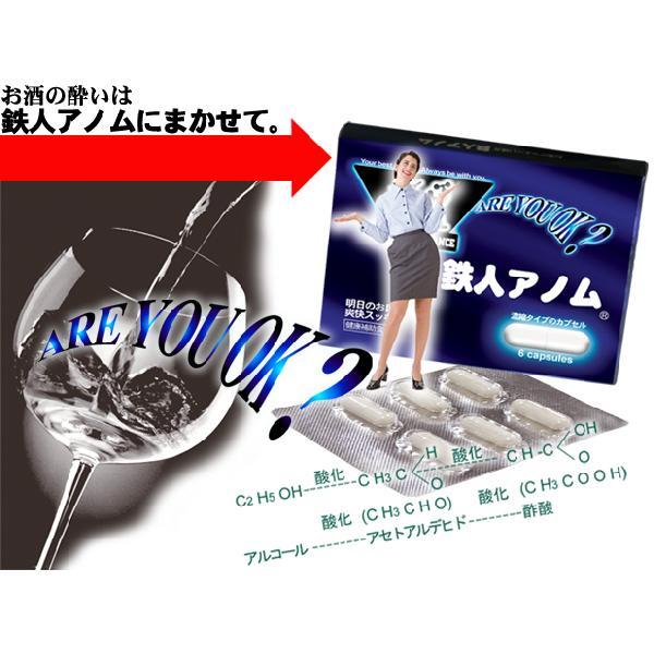 訳あり アルコール対策用サプリメント 鉄人アノム アルコール分解 消臭 条件付送料無料 水彩ねっとpaypayモール店 通販 Paypayモール