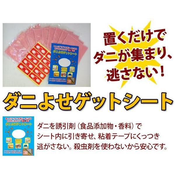 _j悹QbgV[g@10Zbg i_jV[gj