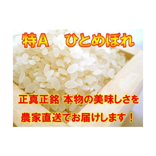 {Y ЂƂ߂ڂ wʍ͔|āx@10