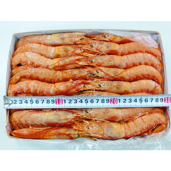 アルゼンチン赤エビ２ｋｇＬ−１サイズ　２０−４０尾超ビックサイズの赤エビです。お刺身でどうぞ♪串焼きにも最適です。内容量  ２ｋｇ原材料  アルゼンチン赤えび賞味期限  約３ヶ月（−１８℃以下）発送方法  冷凍便
