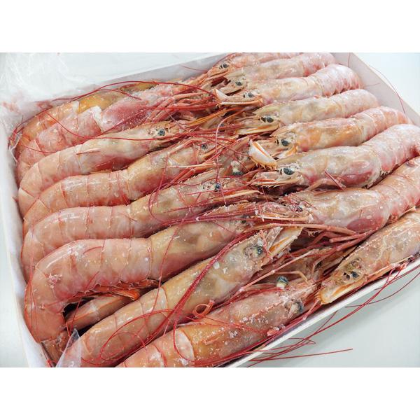 アルゼンチン赤エビ２ｋｇＬ−２サイズ　４０−６０尾お刺身でどうぞ♪串焼きにも最適です。内容量  ２ｋｇ原材料  アルゼンチン赤えび賞味期限  約３ヶ月（−１８℃以下）発送方法  冷凍便