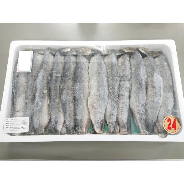 身欠にしんソフト２ｋｇ　約２８枚業務用焼いて良し、煮て良し！！ポピュラーな昆布巻き、天ぷらなどにお使いいただけます。甘露煮にして、そばの上に乗せれば「にしんそば」の完成です。原材料  にしん（北海道産など）内容量  ２ｋｇ　約２８枚賞味期限...