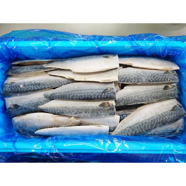 塩さばフィーレ６０枚　５ｋｇ業務用食堂の人気メニュー、遂に登場！！センターカットで腹骨ありますが、さほど気になりません。使いやすいサイズです。塩さば定食に是非どうぞ！！内容量  ５ｋｇ　６０枚原材料  国産　さば、食塩賞味期限  約１ヶ月（...