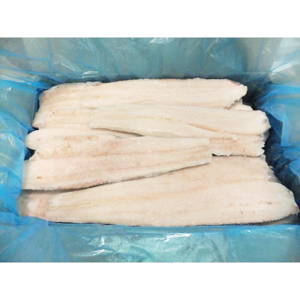 骨取りホキフィーレ　５００／８００サイズ　１０ｋｇ　白身魚　フライ　ムニエル