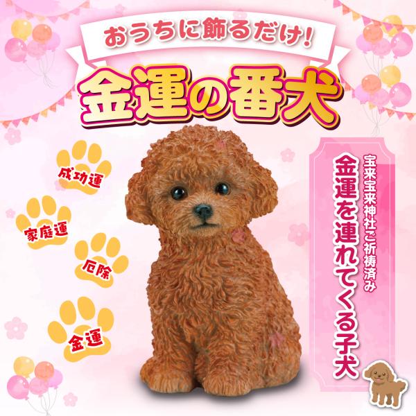 【金運を連れてくる子犬】開運 縁起物 トイプードル 犬