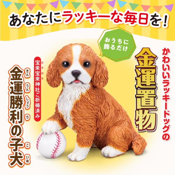 【金運勝利の子犬】開運 縁起物 コーイケルホンディエ 犬