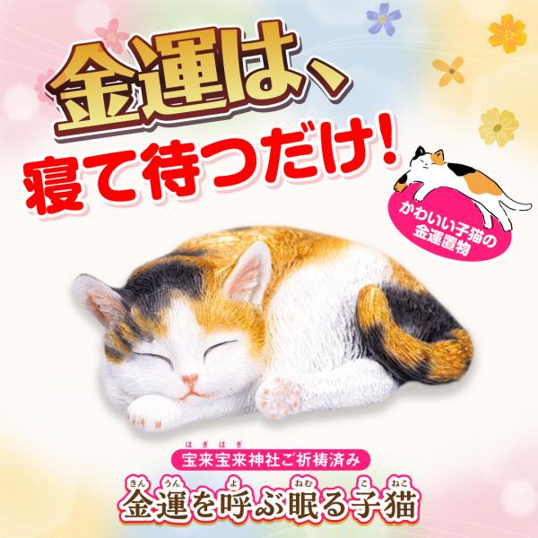 【金運を呼ぶ眠る子猫】開運 縁起物 猫 三毛猫 かわいい