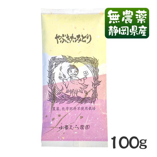 深蒸し茶 やぶきたみどり 100g無農薬茶 無添加 静岡産 通販 よりどり３袋ごとお買い上げでメール便送料無料の対象商品