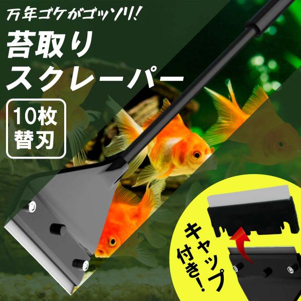 安全キャップ付 コケ取り スクレーパー アクアリウム 水草 苔 水槽 掃除 クリーナー 42cm シリコンヘッド 替え刃10枚付