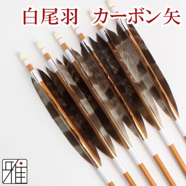 6本組 弓道 ミズノカーボン矢 カーボン矢 シャフト 8024 その他格闘技 矢 6本組 黒羽根 尾羽sst 翠山弓具店 Suizan Ya165
