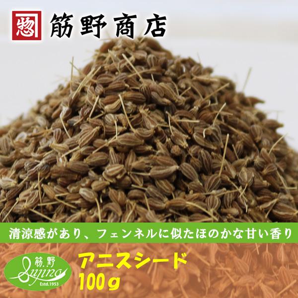 アニスシード 100g 　スペイン産　ポイント消化　スパイスカレー　スパイス　spice　香辛料