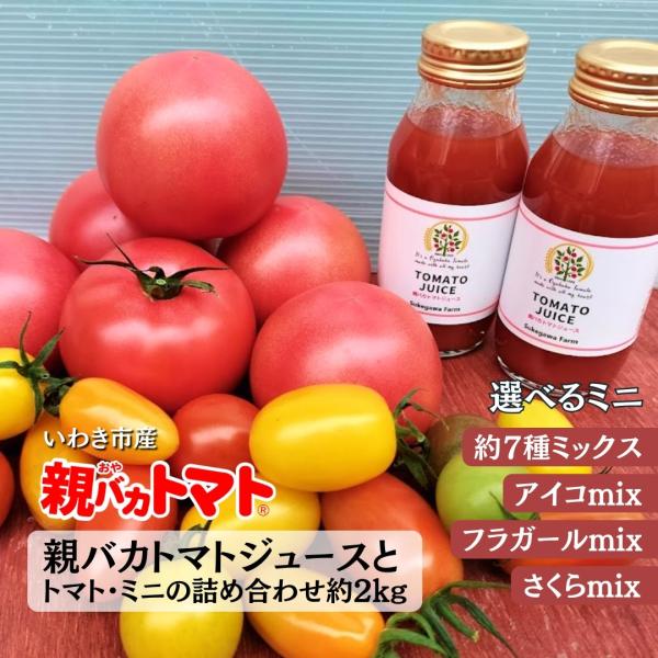 【12/9より今期のトマトの販売始まりました】親バカトマトとミニトマトとトマトジュースが色々楽しめるセット商品です!親バカトマトジュースは助川農園の親バカトマト100%の無添加無塩のストレートジュースです。原産地　福島県いわき市品種等　トマ...