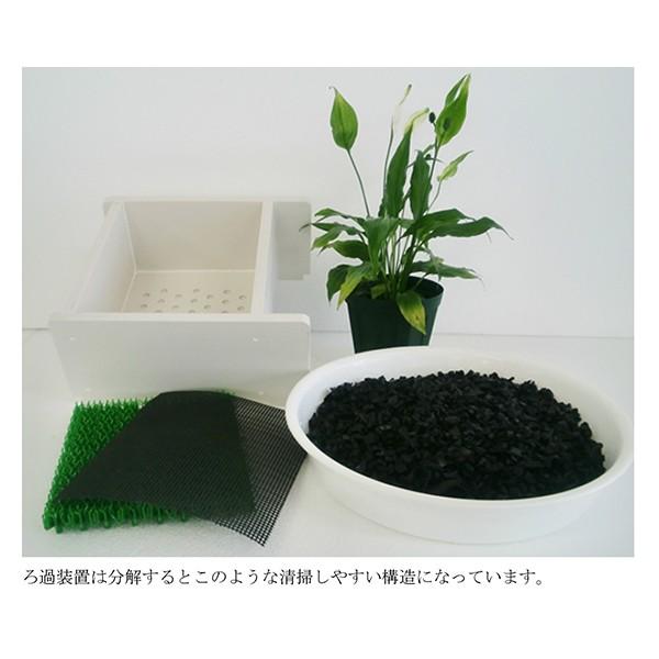 せせらぎ室内ビオトープ cm型水槽セット Buyee Buyee Jasa Perwakilan Pembelian Barang Online Di Jepang