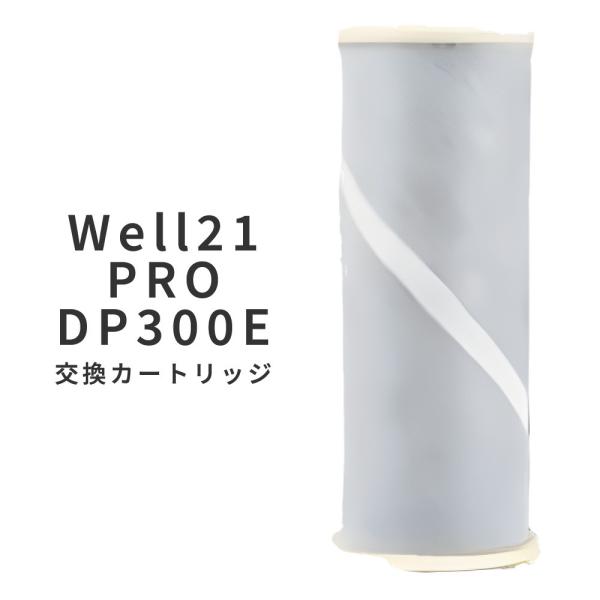 セントラル浄水器 Well21 ウエル21 G400N型用 カートリッジ 正規代理店 ウェル21 Well21pro G400N交換カートリッジ