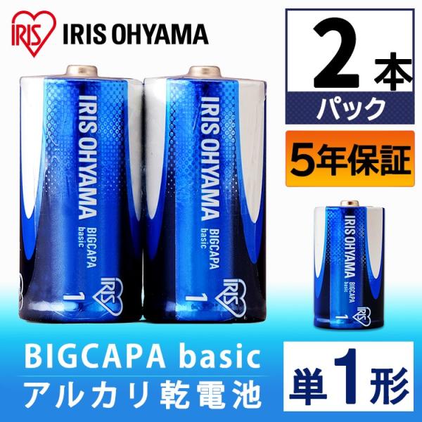 dr  BIGCAPA  basic  P1`  2{pbN  LR20Bb/2P  ACXI[}  V