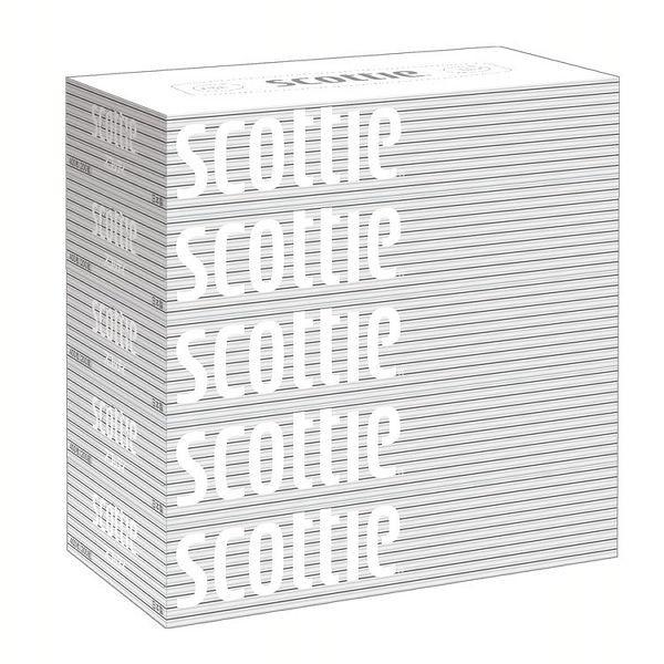 XRbeB  eBV[  400  i200gj  5  zCgpbP[W    {NVAij  (D)  V