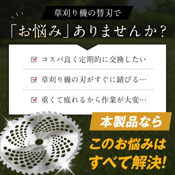 sum41_kusakari10_4_d_20260206004527